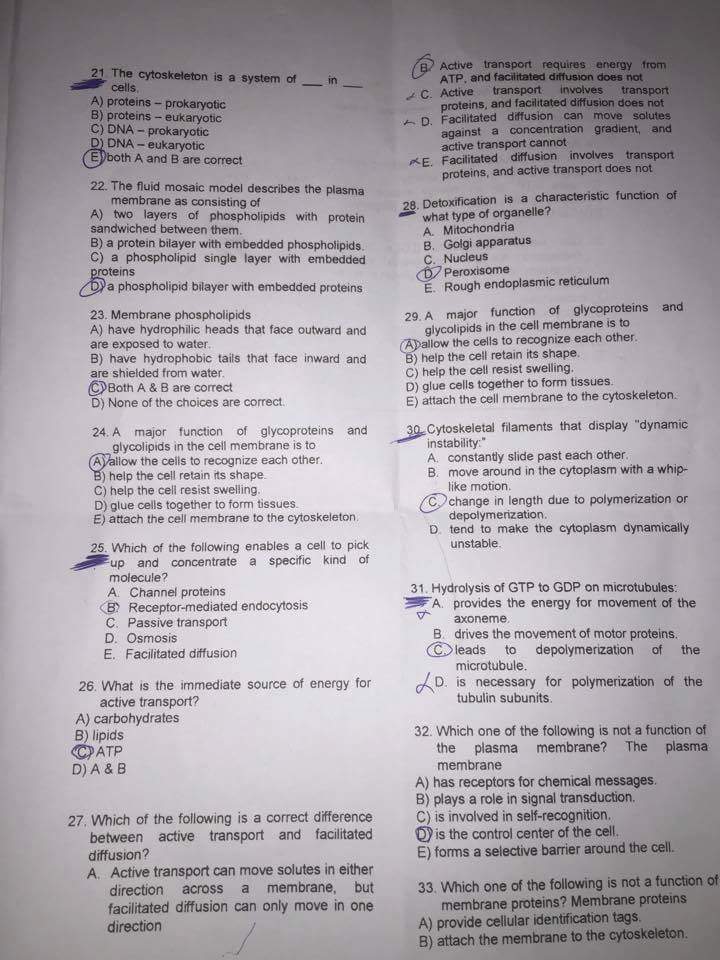 اسئلة سنوات - IMG-20181004-WA0000.jpg